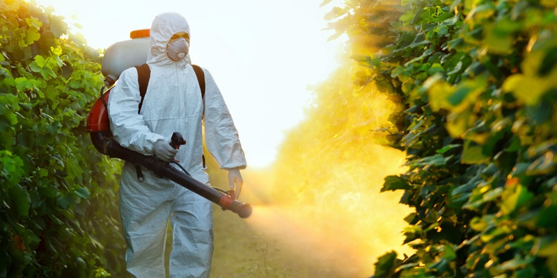 Pest control service in chennai