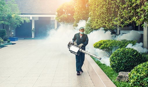 Pest control service in chennai