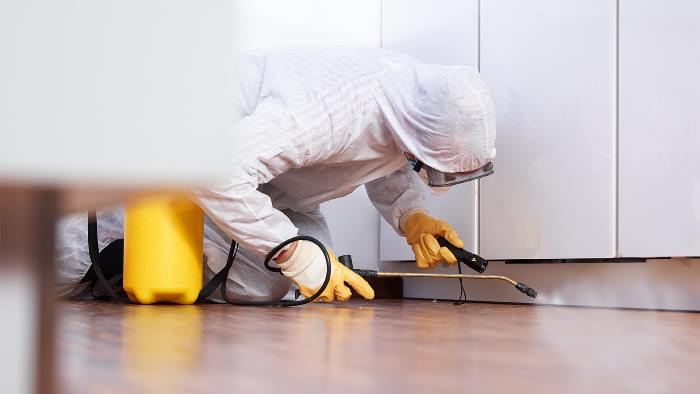 Pest control service in chennai