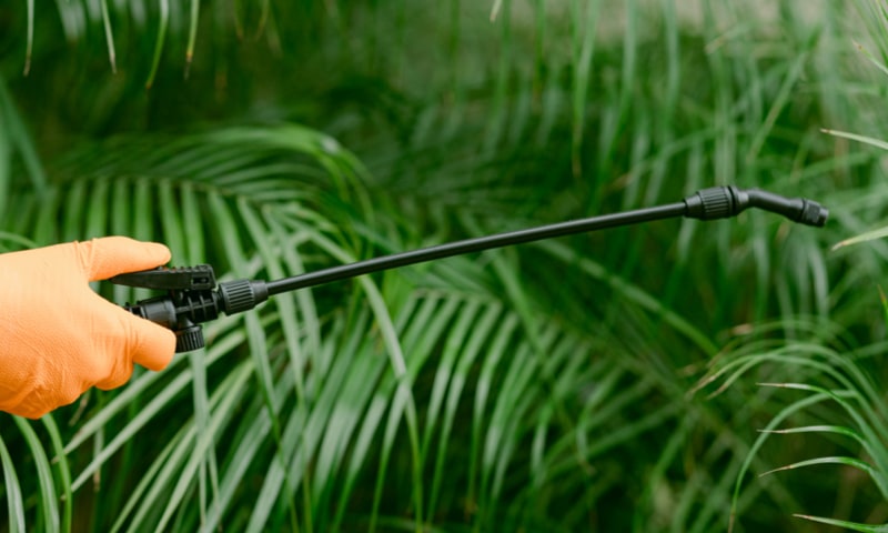 Pest Control Service in chennai Pest Control Service in chennai