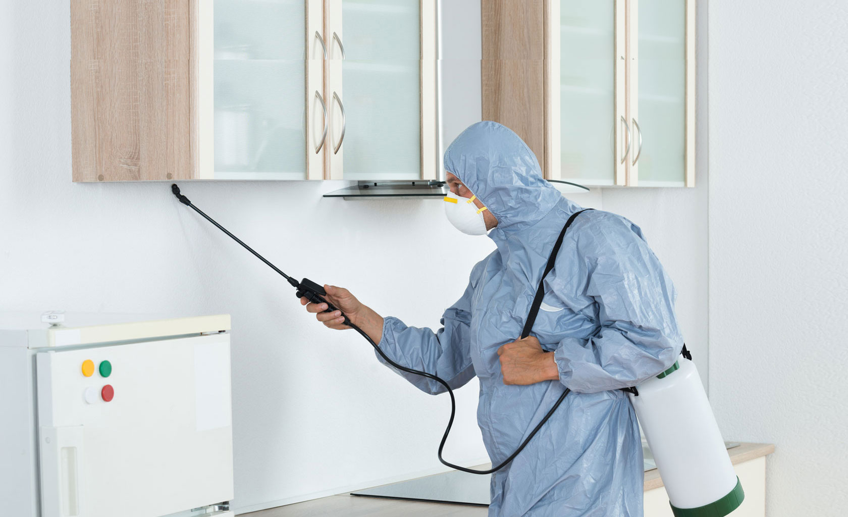 Pest control service in chennai